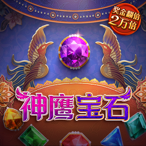 一肖一码期期准
